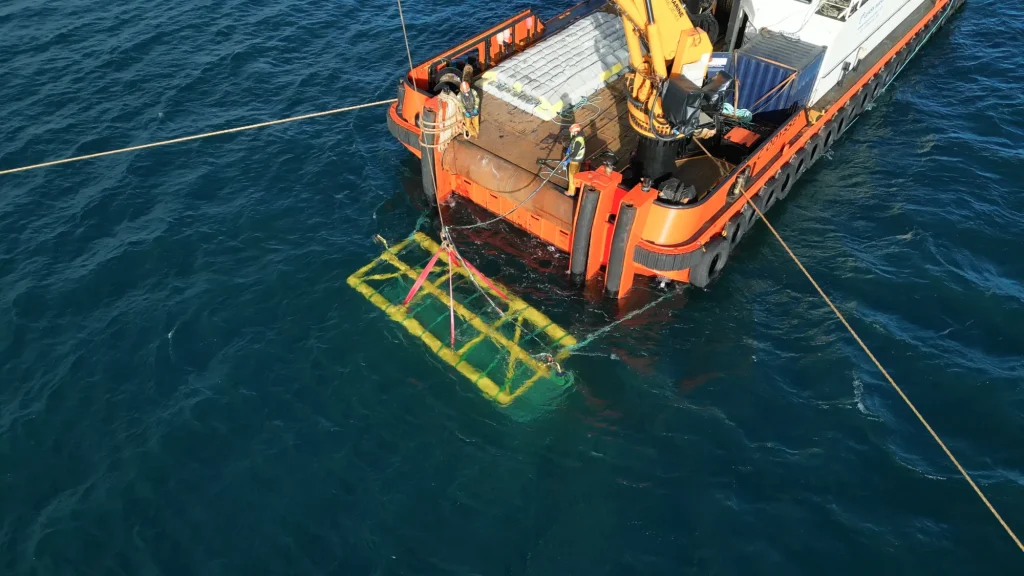 NICE-project-reef-mat-installation-2