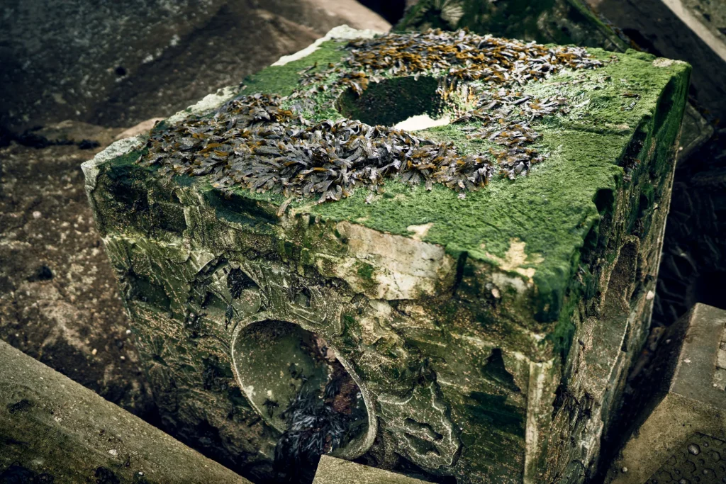 arc_marine_newlyn_algae-growth-scour-protection