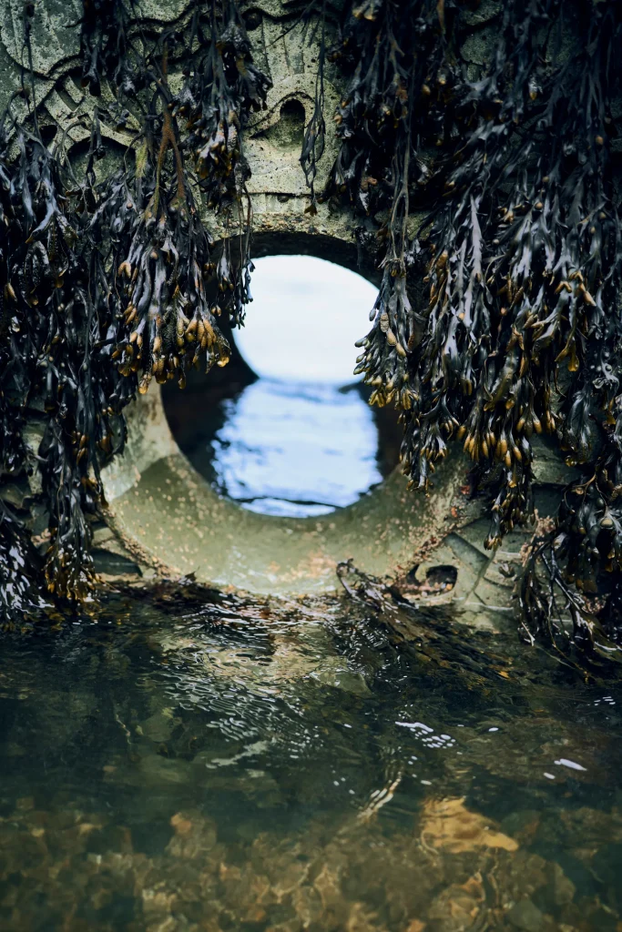 arc_marine_newlyn_reef-cube-submerged