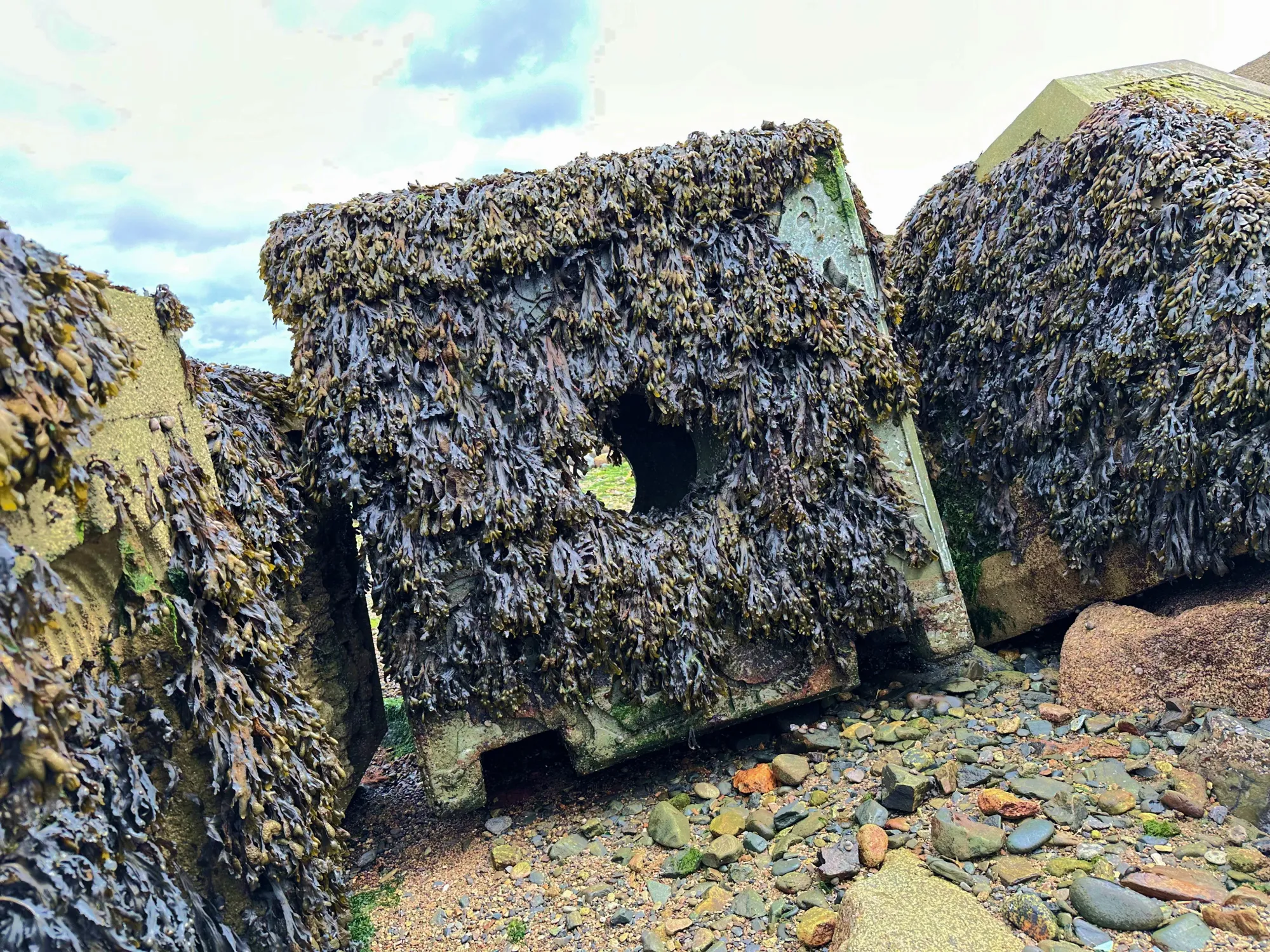 newlyn-coastal-defence-reef-cubes