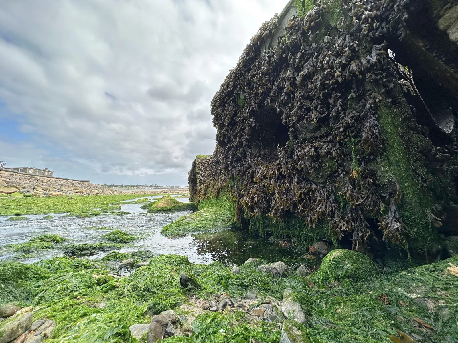 newlyn-coastal-defence-reef-cubes