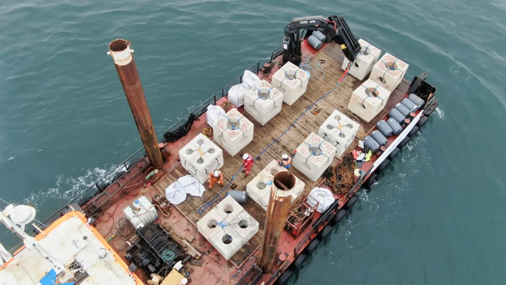 refas-project-deployment-reef-life